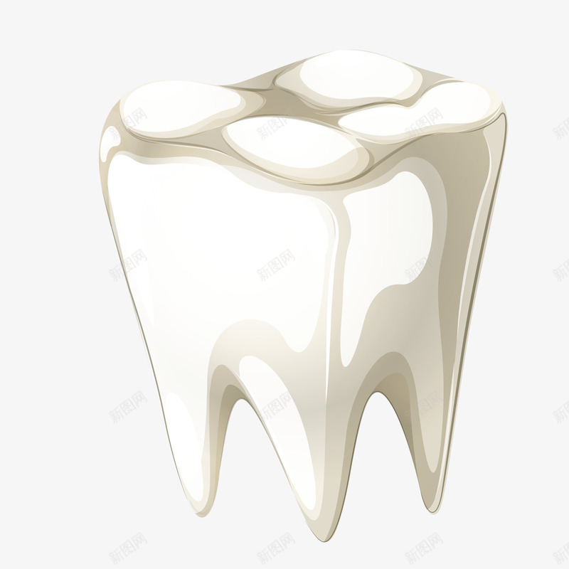 牙齿png免抠素材_新图网 https://ixintu.com 3D PNG免扣图下载 乳牙 健康 卡通 模型