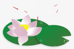 中国风莲花与蜻蜓素材