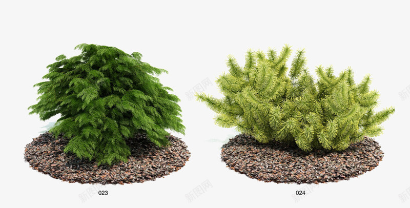 绿色植物png免抠素材_新图网 https://ixintu.com 园林植物 模型 绿色植物 装饰