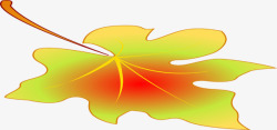 一片枫叶素材