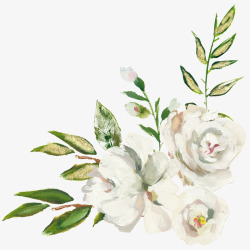 白色印花布料背景图片手绘植物花卉白色花朵高清图片