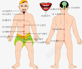 养生穴位图png免抠素材_新图网 https://ixintu.com 健康 养生 穴位 穴位图 针灸