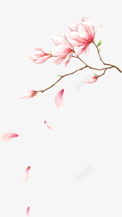 创意水中的桃花创意水彩手绘粉红色的桃花高清图片
