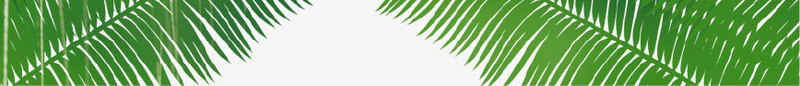 绿色清新热带粽叶装饰图案psd免抠素材_新图网 https://ixintu.com 旅游 清新 热带 粽叶 绿色 背景 装饰图案