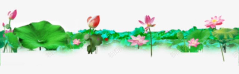 荷花荷叶背景png免抠素材_新图网 https://ixintu.com 绿色 节日元素 荷叶荷花背景