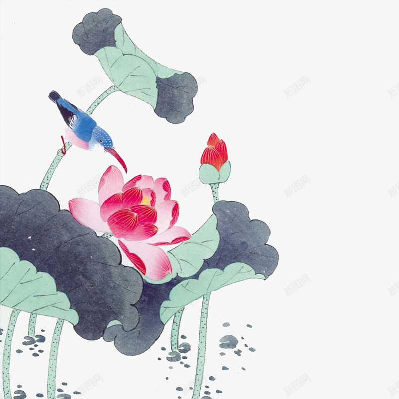 花鸟图png免抠素材_新图网 https://ixintu.com 中国风 小鸟 花鸟图 荷花