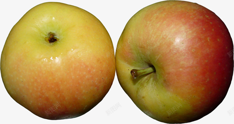 新鲜野苹果png免抠素材_新图网 https://ixintu.com 健康 新鲜 水果 野苹果