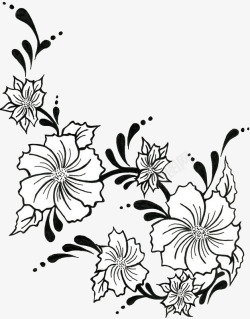 手绘黑白花朵素材