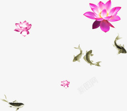 荷花淘宝花朵粉色花素材