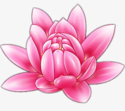 粉色手绘荷花儿素材