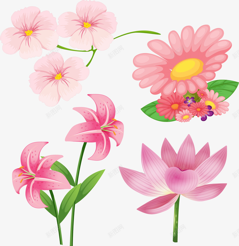 手绘粉色花朵png免抠素材_新图网 https://ixintu.com 手绘 百合花 盛开的花朵 粉色花朵 荷花