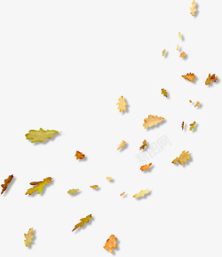 飘散的落叶飘散的落叶高清图片