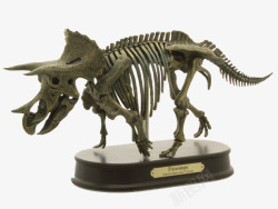 恐龙骨骼素材