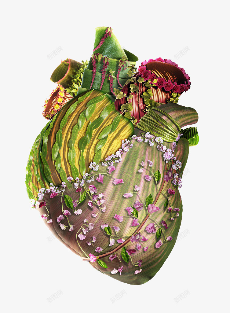 心脏器官模型png免抠素材_新图网 https://ixintu.com 五脏六腑 人体内脏模型 内分泌系统 医学研究 医疗 器官移植 器官结构