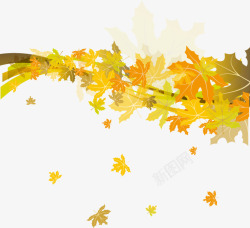 秋天精美树叶落叶素材