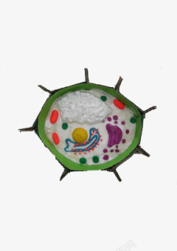 生物细胞平面图模型素材