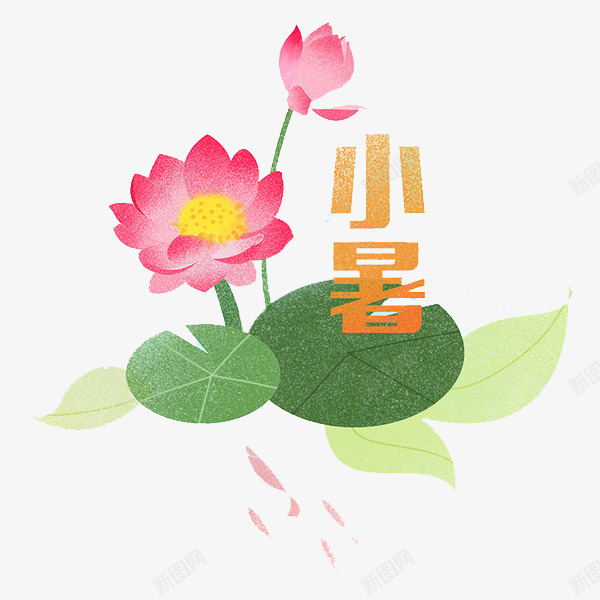 二十四节气小暑png免抠素材_新图网 https://ixintu.com 好看 节气 花瓣 花蕊 荷叶 荷花