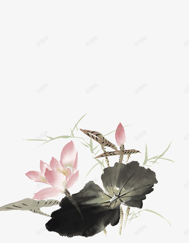 水墨荷花png免抠素材_新图网 https://ixintu.com 中国风 花苞 荷叶 荷花