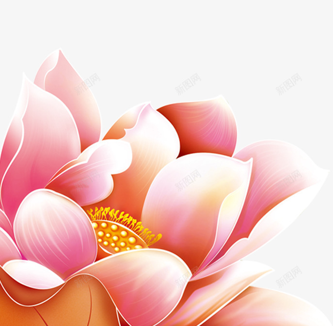 荷花png免抠素材_新图网 https://ixintu.com 中秋 十五 粉色荷花