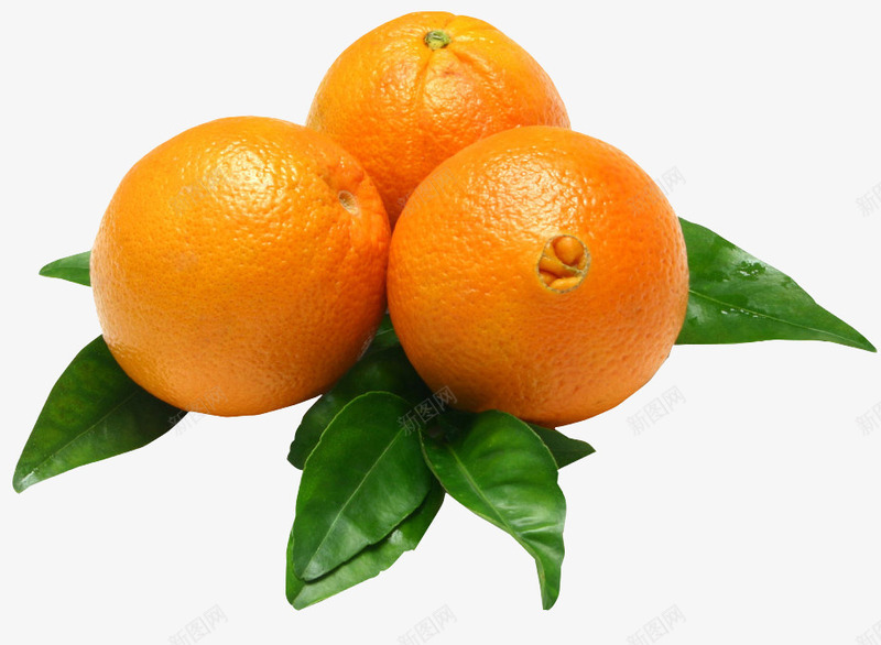 橙子png免抠素材_新图网 https://ixintu.com 健康 橙子 水果 淘宝素材 食物