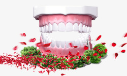 牙齿健康模型素材