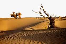 塔克拉玛干沙漠新疆景点塔克拉玛干沙漠高清图片