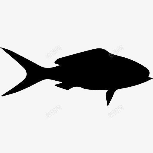 女王鲷鱼图标png_新图网 https://ixintu.com 动物 动物王国 形状 轮廓 鱼 鱼的形状