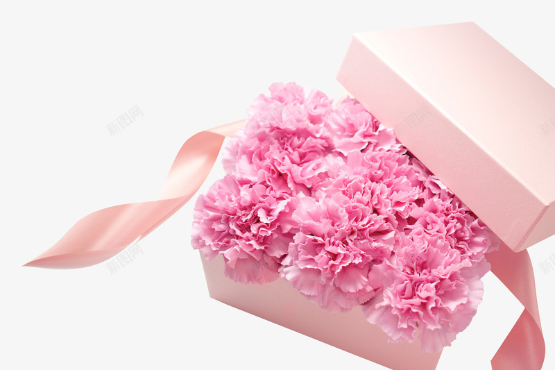 粉色花朵植物礼盒png免抠素材_新图网 https://ixintu.com 植物 礼盒 粉色 花朵