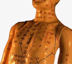 人体模型穴位素材