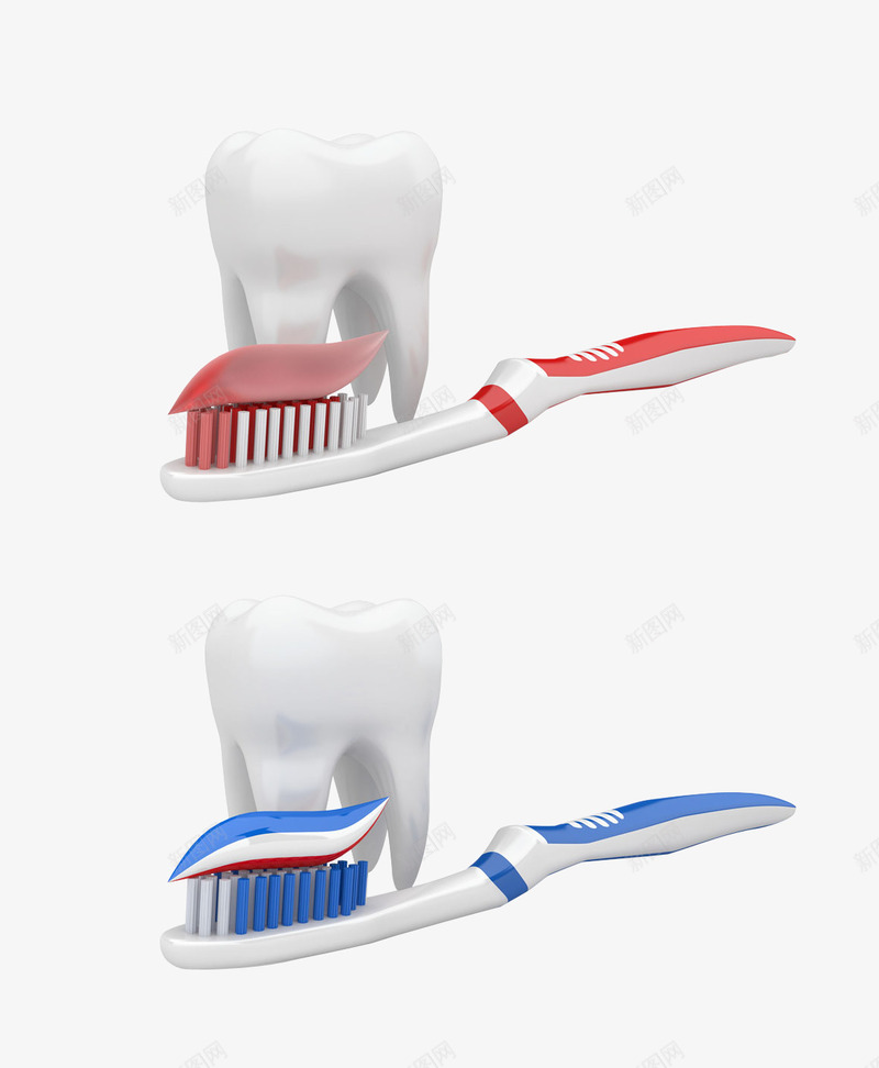 3D牙齿模型与红蓝牙刷png免抠素材_新图网 https://ixintu.com 3D牙齿模型 牙刷 牙齿 牙齿模型
