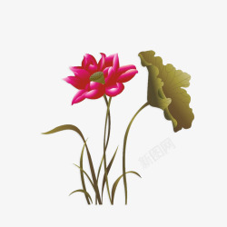 中国画荷花素材