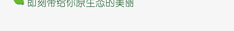 媞奥茶树油系列png免抠素材_新图网 https://ixintu.com 产品实物 护肤品 茶树油