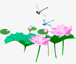 蜻蜓和荷花素材
