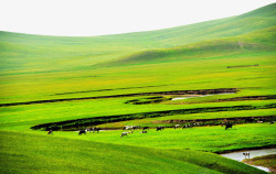 唿伦贝尔草原景区著名呼伦贝尔草原高清图片