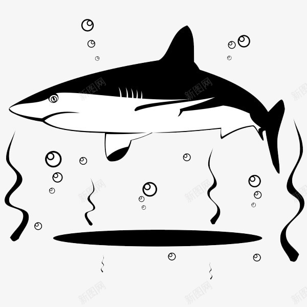 卡通黑白可爱鲨鱼png免抠素材_新图网 https://ixintu.com 卡通 可爱 泡泡 鲨鱼 鲨鱼黑白 黑白