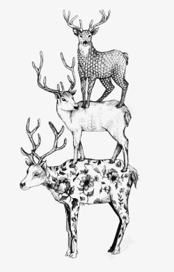 动物叠罗汉黑白鹿高清图片