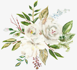 手绘植物花卉白色花朵素材