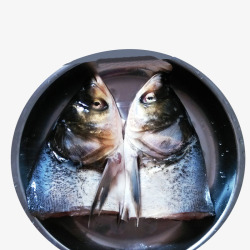 无污染海鲜产品实物鱼头花鲢鱼高清图片