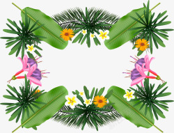 精美热带植物花朵装饰边框素材