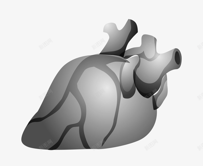 心脏血管png免抠素材_新图网 https://ixintu.com 人类 健康 冠心病 循环 心脏 心脏病学 心血管 流动 血液 解剖