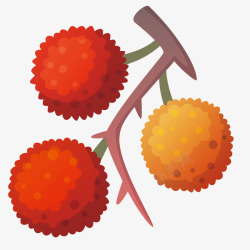 手绘悬挂荔枝素材
