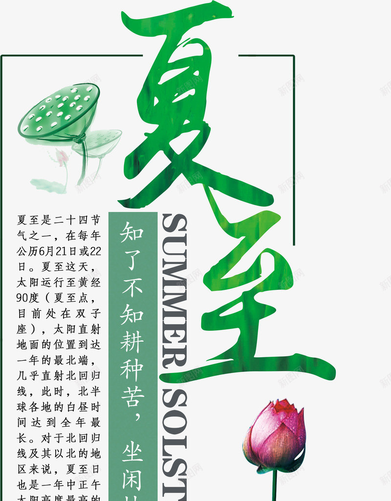 夏至荷花png免抠素材_新图网 https://ixintu.com png图形 二十四节气 手绘 植物 绿色 荷叶 荷花 装饰 链子