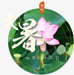 大暑节气素材