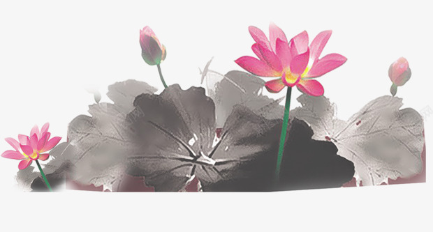 水墨荷花png免抠素材_新图网 https://ixintu.com 水墨荷花 花 花朵 莲花