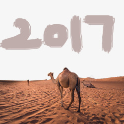 沙漠骆驼图素材
