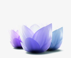 紫色荷花素材