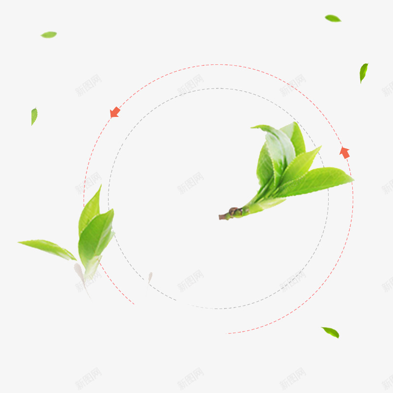 叶子嫩芽圆圈虚线png免抠素材_新图网 https://ixintu.com 叶子 圆圈 嫩芽 虚线
