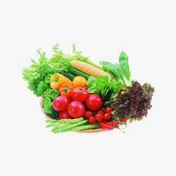 各类蔬菜各类蔬菜图高清图片