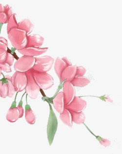 七夕海报护肤品植物花朵素材
