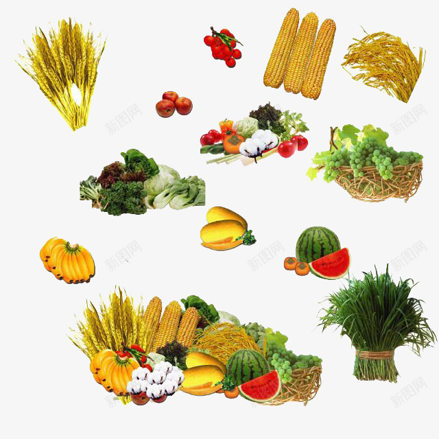 多种营养蔬菜png免抠素材_新图网 https://ixintu.com 健康饮食 玉米 矢量素材 粗粮 膳食纤维